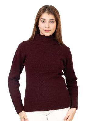 TOP TEN Slim Fit Long Sleeve Minimalist Turtleneck for Casual & Office Wear